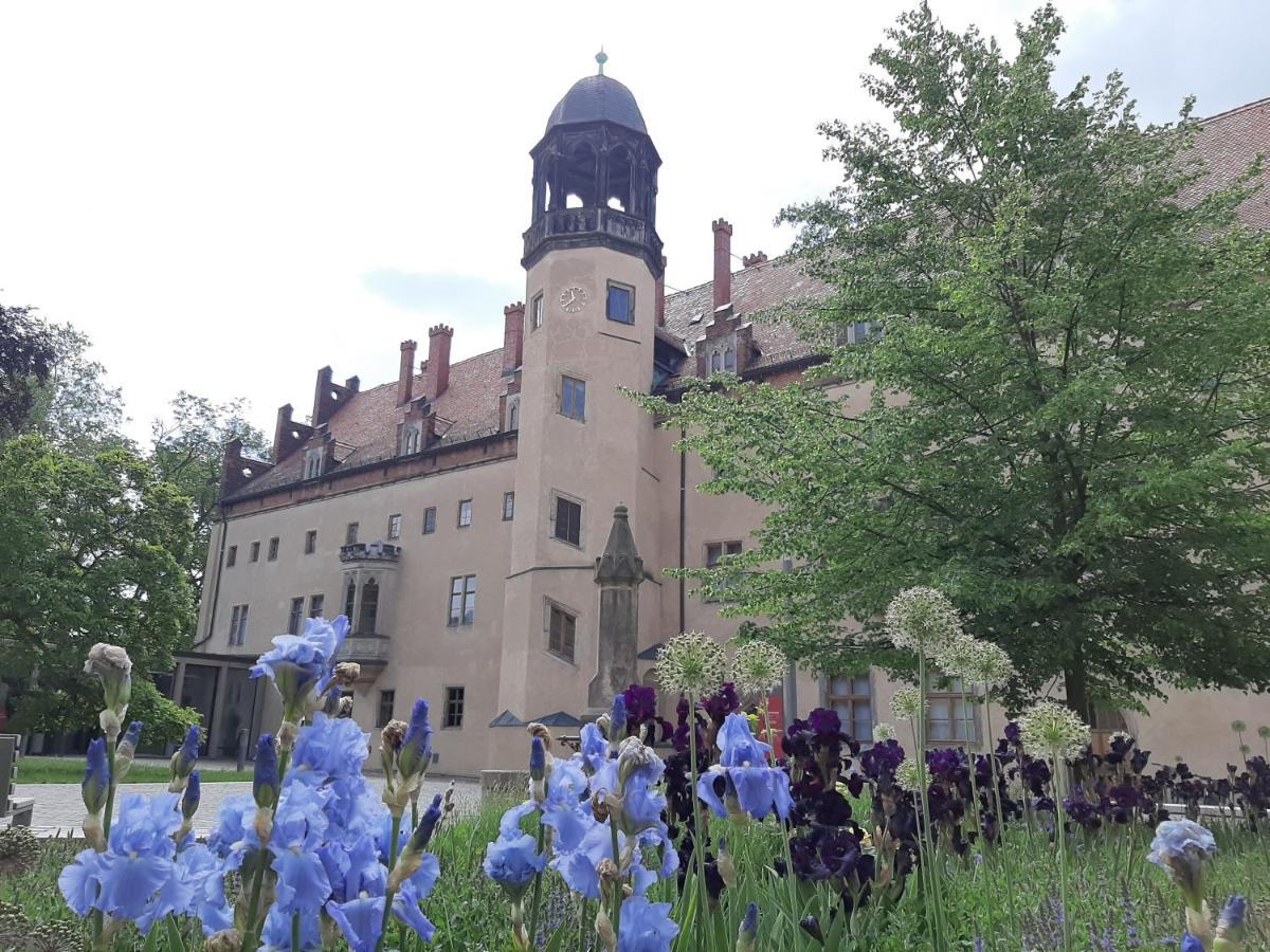 Fewo Rosenblüte am Stadtpark Wittenberg Exterior foto