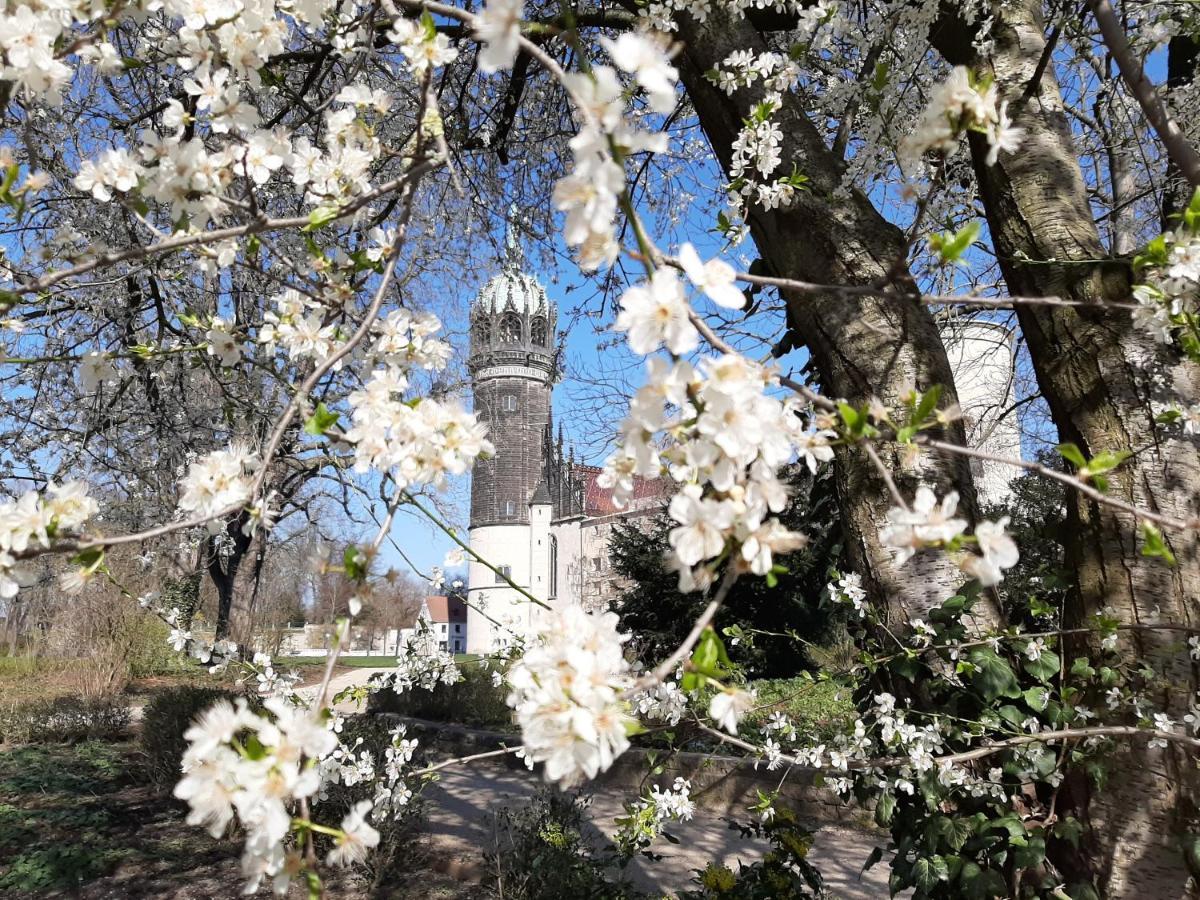 Fewo Rosenblüte am Stadtpark Wittenberg Exterior foto